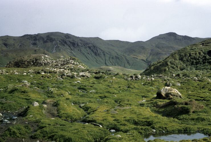 Mountain scenery with grasses, rocks and stream.