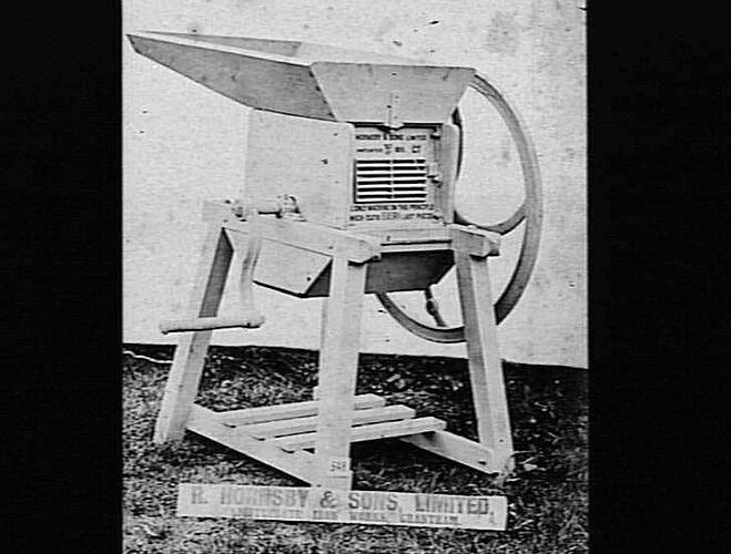 Photograph