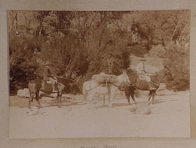 Photograph