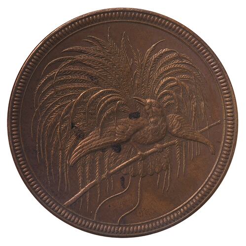 Coin - 10 Pfennig, German New Guinea (Papua New Guinea), 1894