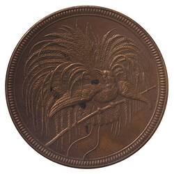 Coin - 10 Pfennig, German New Guinea (Papua New Guinea), 1894
