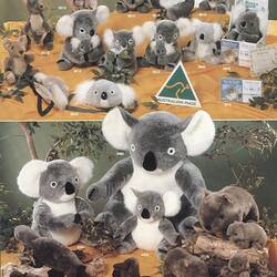 Advertising Flyer - Koala Mate, Melbourne, circa 1990s