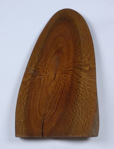 Timber Sample - Coast Banksi (banksia integrifolia), 1900-1950