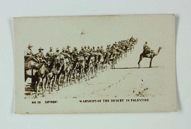 Soldiers on camels in a line.