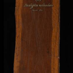 Timber Sample - Yellow Box, Eucalyptus melliodora, Victoria, 1885