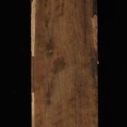 Timber Sample - Austral Mulberry, Hedycarya angustifolia, Victoria. 1885