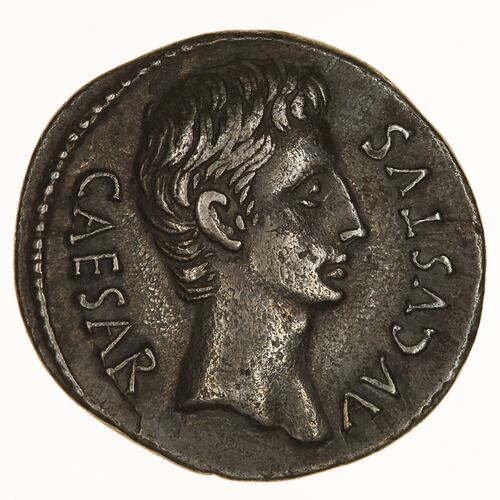 Coin - Denarius, Emperor Augustus, Ancient Roman Empire, 19-18 BC - Obverse