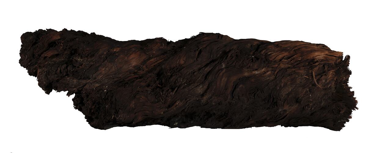 Dark brown textured oblong piece of tree trunk.