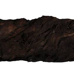 Dark brown textured oblong piece of tree trunk.