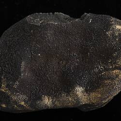 Murchison Meteorite. [E 12397]