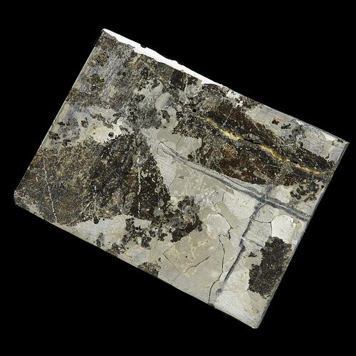 Landes Meteorite. [E 12168]