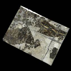 Landes Meteorite. [E 12168]