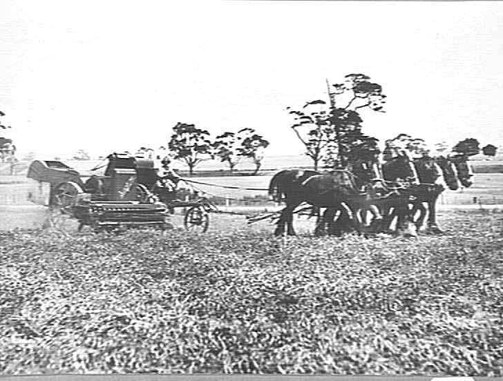 Photograph H.V. McKay Pty Ltd, Farm Equipment Manufacture & Field