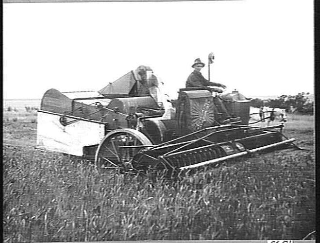 AUTO HEADERS AT WORK ON MR. MCRAE'S FARM, WILLAURA: JAN 1928