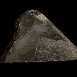 Shingle Springs Meteorite. [E 12411]