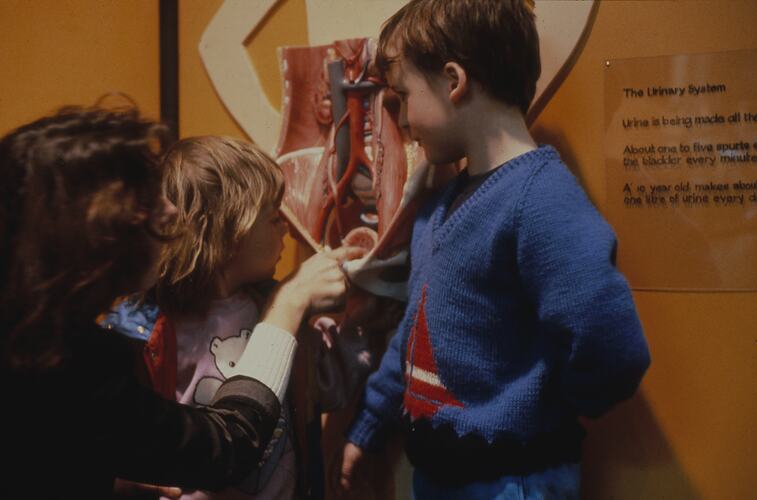 Woman and two children looking at an anatomical display positioned on a yellow wall.