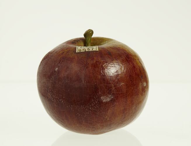 Wax apple model painted dark red. Brown stem.