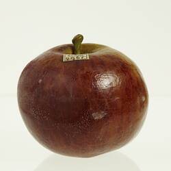 Apple Model - Pomme De Neige, Burnley, 1874