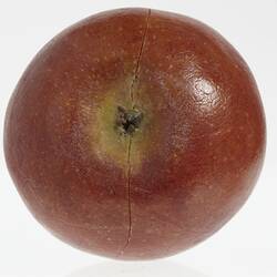 Red apple model with green around stem. Base view.