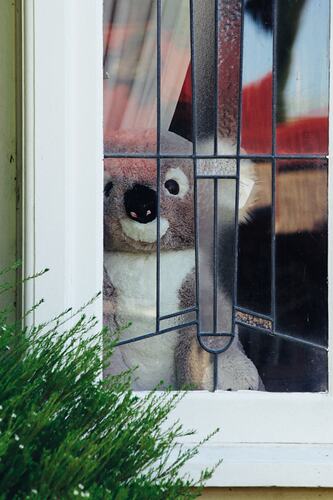 Toy koala placed in window.
