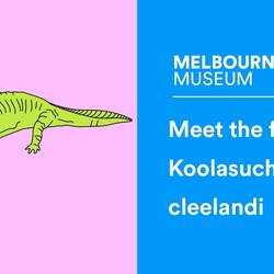 Koolasuchus cleelandi the cool cretaceous monster amphibian