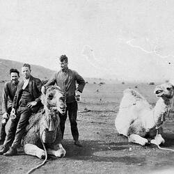 Negative - Men & Camels, Port Augusta District, South Australia, 1928