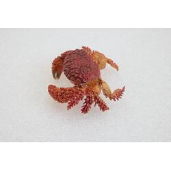 <em>Actaea peronii</em>, Thorn-legged Crab. [J 15994]