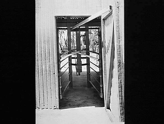 SUNSHINE SHEEPYARD GATES IN USE AS CRUSHER IN MILKING SHED (SENT IN BY ADELAIDE OFFICE) (DO NOT HOLD NEGS). MAR 1940