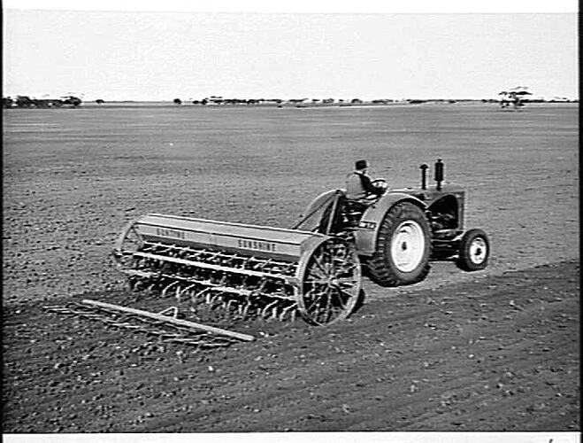20-ROW `SUNTYNE' COMBINED GRAIN AND FERTILIZER DRILL AND SPRING TINE CULTIVATOR DRAWN BY A SUNSHINE HASSEY HARRIS TRACTOR SOWING WHEAT AT LASCELLES IN THE VICTORIAN MALLEE: JUNE 1951