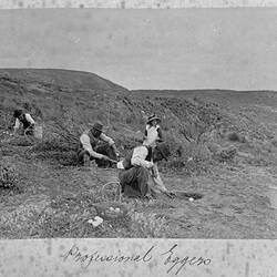 Photograph - 'Professional Eggers', by A.J. Campbell, Phillip Island, Victoria, Nov 1902