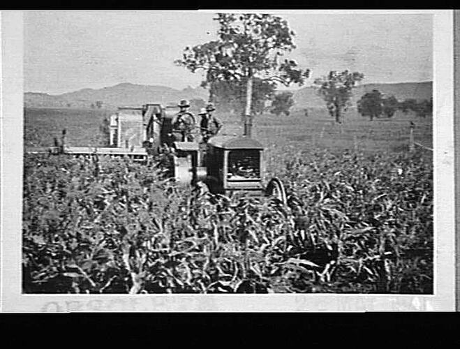 Photograph - H. V. McKay factory and/or equipment
