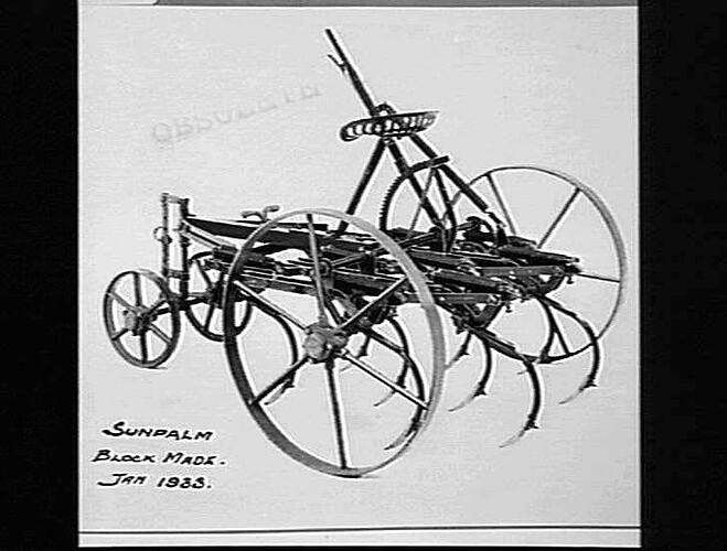 CULTIVATORS: `SUNPALM'