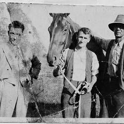 Photograph - Phar Lap, Tommy Woodcock, Mark Friend & Bacchus Marsh Field Manager, circa 1930