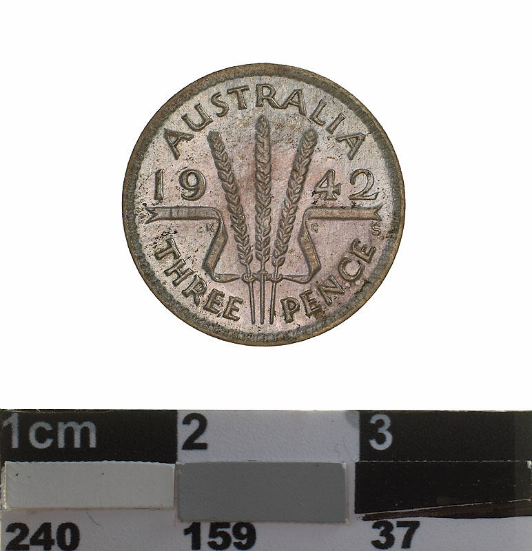 215496-medium.jpg