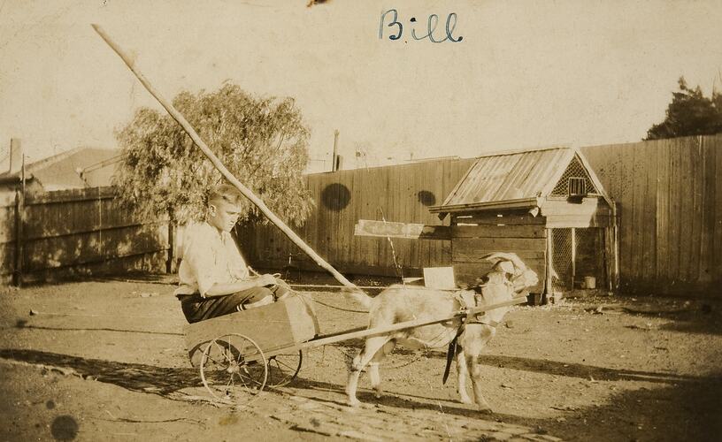 Boy Driving Goat Cart in Backyard, North Melbourne, circa 1922