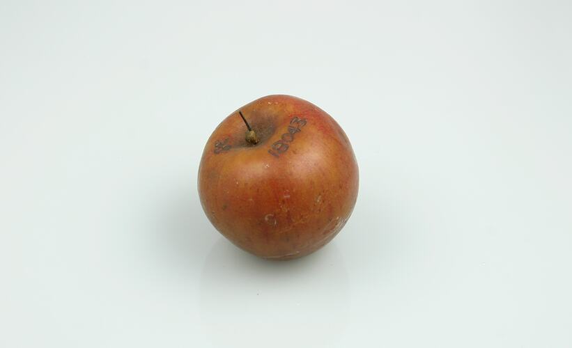 Apple, Chandler