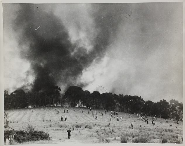 Photograph - Fire Fighters Approaching Bushfire, Victoria, circa 1930s