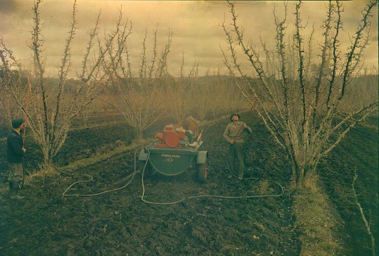 Orchard Spraying at Harcourt