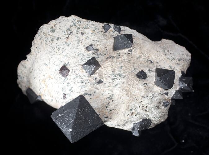 White rock with black tetrahedral crystals.
