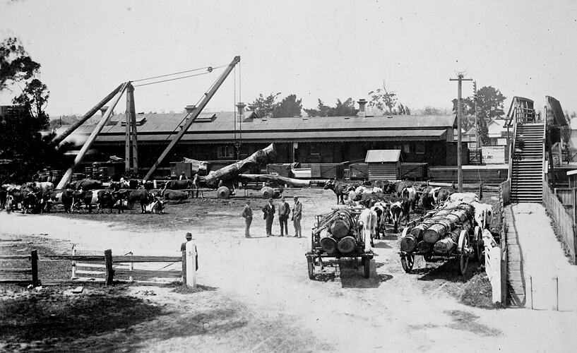 Men loading logs onto a train at a railway station. Horse drawn vehicles carry logs.