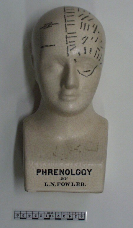 Porcelain L. N. Fowler Phrenology Bust Head Scientific