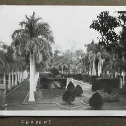 Photograph - 'Gardens', Egypt, World War II, 1939-1943