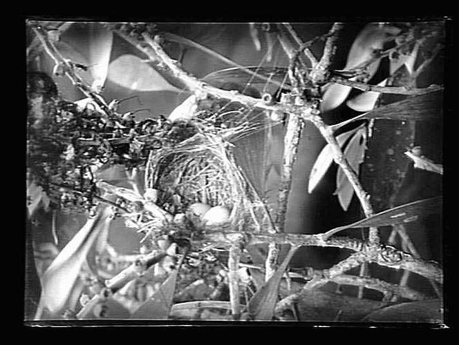 Negative - Glass
