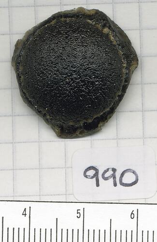 Button-shaped tektite.
