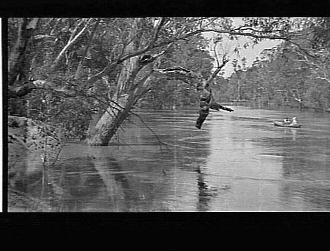GOULBURN RIVER - NEAR SHEPPARTON