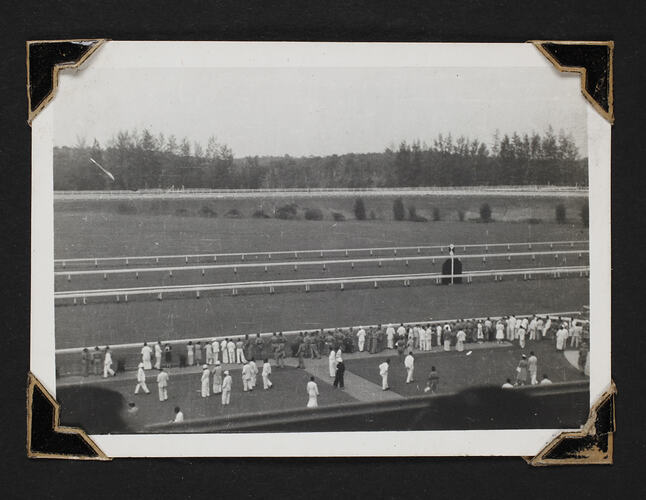 Group of people by horse racing track.