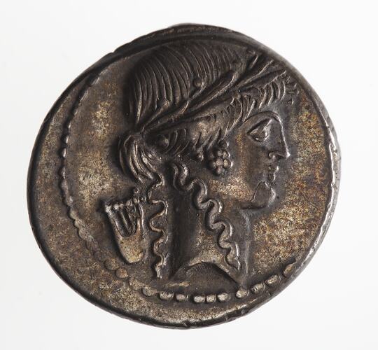 Coin - Denarius, P. CLODIVS, Ancient Roman Republic, 42 BC