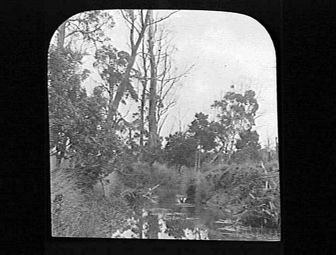 Lantern Slide