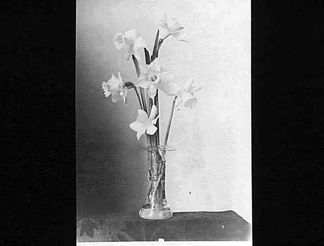 Negative - Glass
