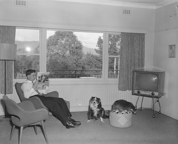 Man & Pets in Living Room, Domestic Interior, Victoria, 20 Aug 1959